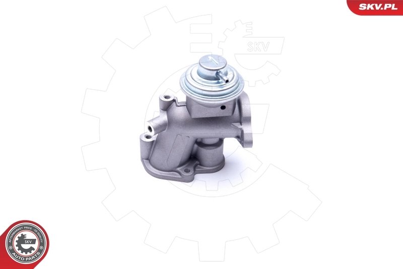 EGR Valve